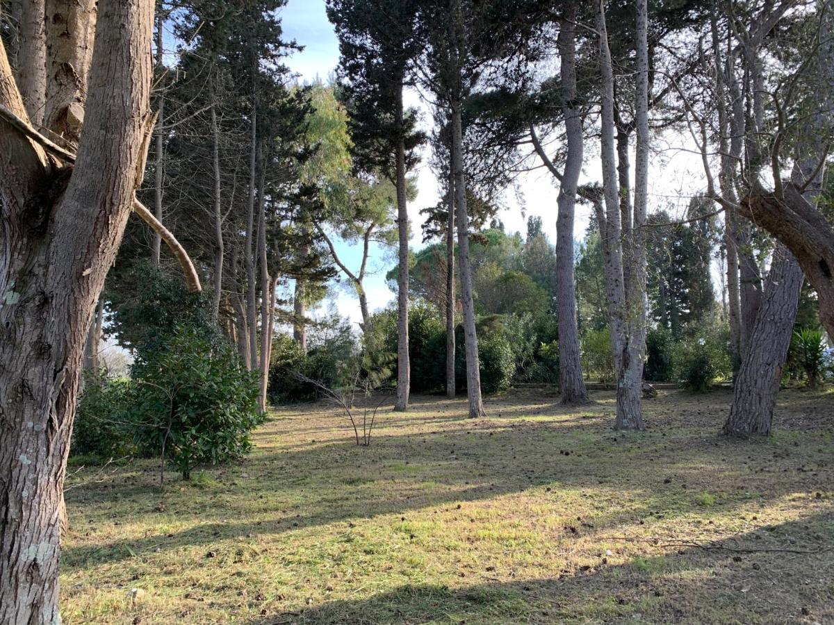 Eden Monolocale Torre Dell Orso Διαμέρισμα Torre dell'Orso Εξωτερικό φωτογραφία